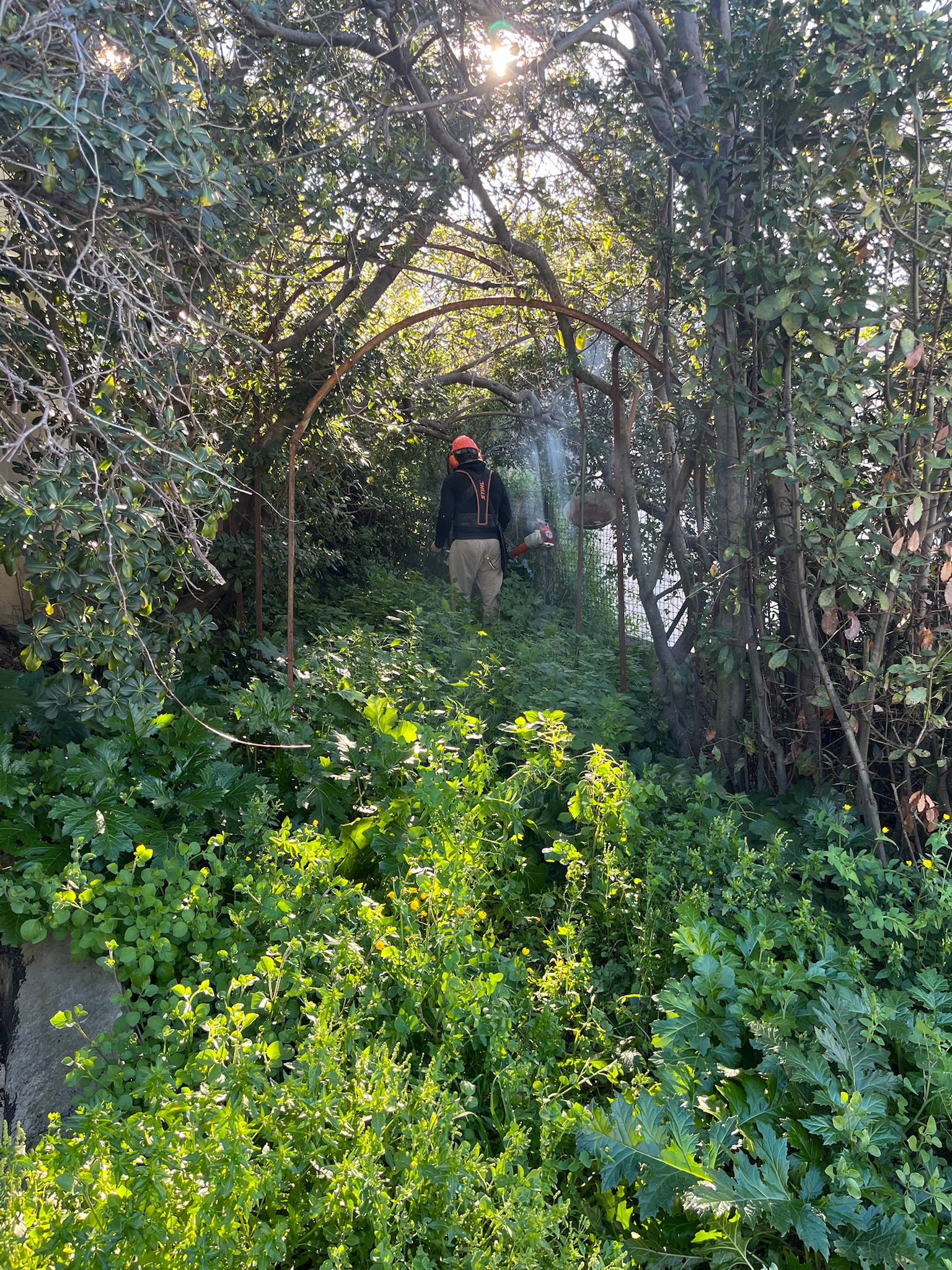 Chantier Roucas - Photo 142